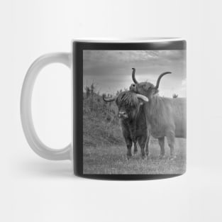 Highland Cows (2 of 2) Mug